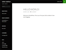 Tablet Screenshot of ladderstabilizer.com
